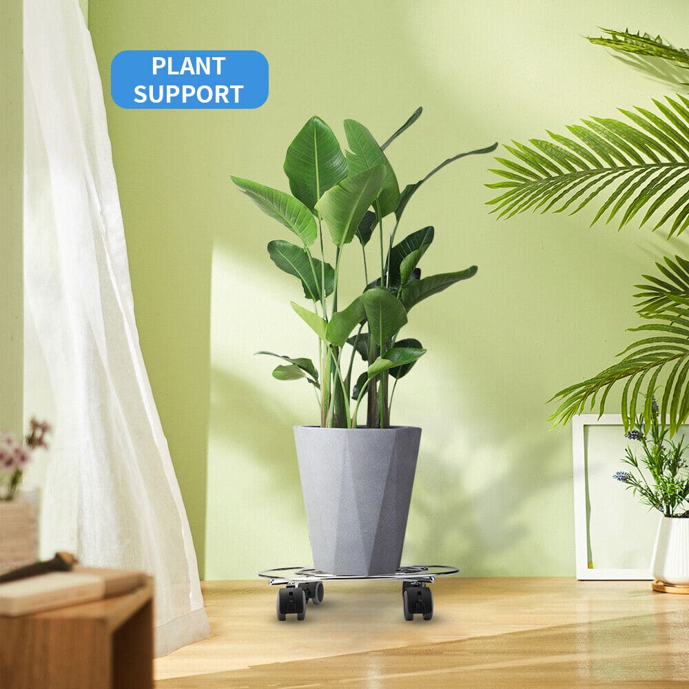 Plant Caddy Stand, Movable Flower Pot Tray, Stainless Steel Cylinder Trolley, Multipurpose Heavy Duty Stand with Wheels Plant Caddy Stand, Movable Flower Pot Tray, Stainless Steel Cylinder Trolley, Multipurpose Heavy Duty Stand with Wheels